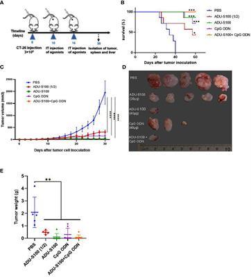 Immunotherapy with STING and TLR9 agonists promotes synergistic therapeutic efficacy with suppressed cancer-associated fibroblasts in colon carcinoma